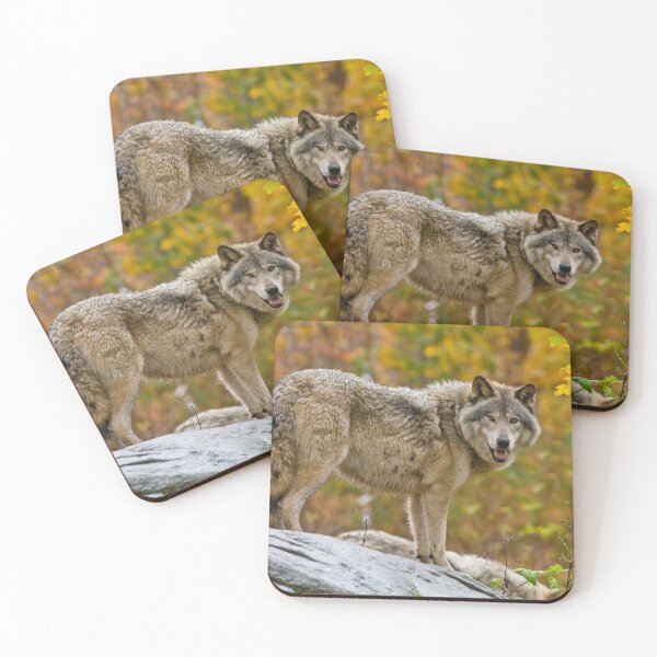 Item preview, Gray Wolf designed and sold by Michael Cummings.