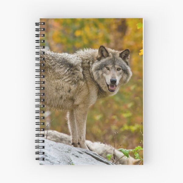 Item preview, Gray Wolf designed and sold by Michael Cummings.
