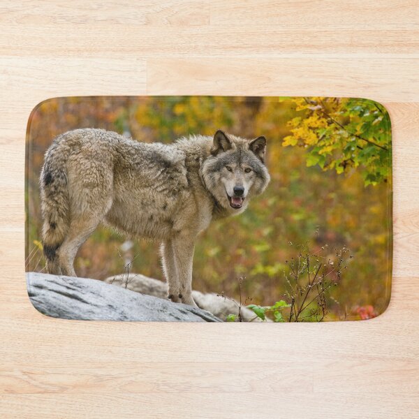 Item preview, Gray Wolf designed and sold by Michael Cummings.
