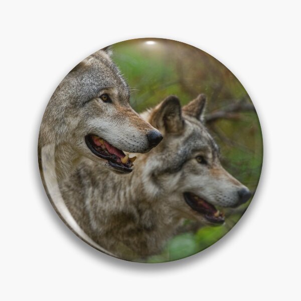 Item preview, Gray Wolves designed and sold by Michael Cummings.