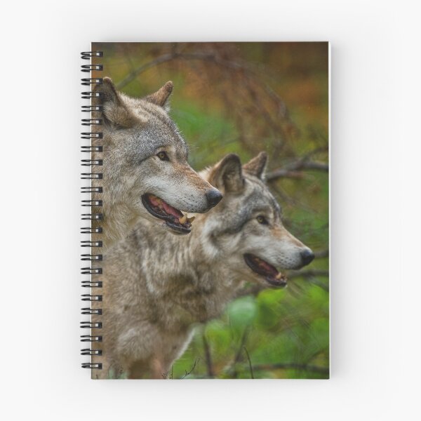 Item preview, Gray Wolves designed and sold by Michael Cummings.
