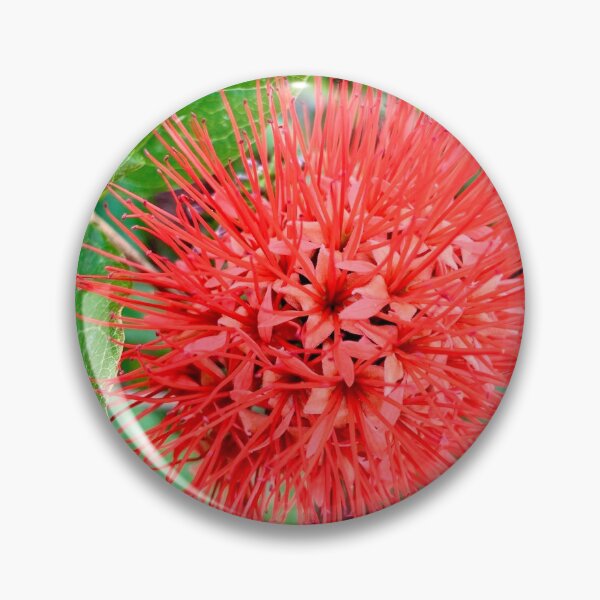 Item preview, Red Bottle Brush Flower designed and sold by HONESTmerch-.