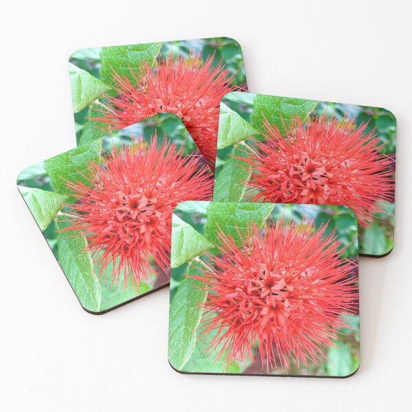 Item preview, Red Bottle Brush Flower designed and sold by HONESTmerch-.