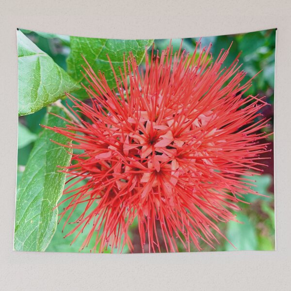 Item preview, Red Bottle Brush Flower designed and sold by HONESTmerch-.