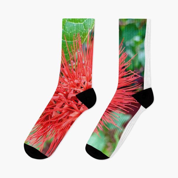 Item preview, Red Bottle Brush Flower designed and sold by HONESTmerch-.