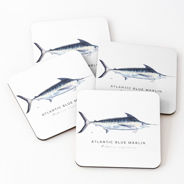 Item preview, Atlantic Blue Marlin Scientific Illustration, Watercolor, Fish, Ocean fish, billfish designed and sold by Melissa  MacMichael Art + Design.