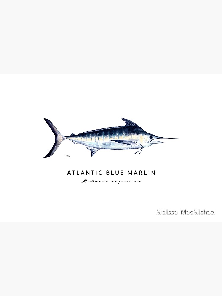 Atlantic Blue Marlin Fishing Lovers Mens Tank Top, White, Small 