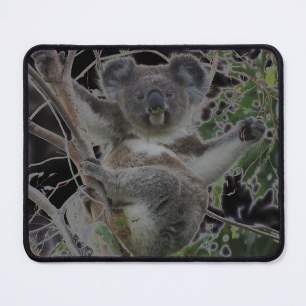 Item preview, Light up with Frankie koala designed and sold by koalagardens.