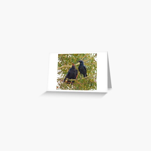 RAVEN ~ Forest Raven J4EJAFU5 by David Irwin Greeting Card