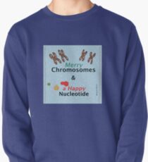Merry Chromosomes & a Happy Nucleotide Pullover