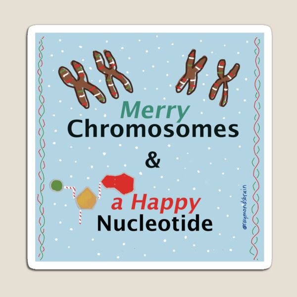 Merry Chromosomes & a Happy Nucleotide Magnet
