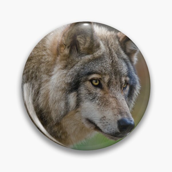 Item preview, Timber Wolf designed and sold by Michael Cummings.