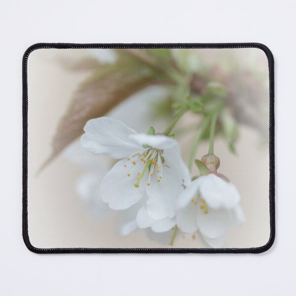 Item preview, Blackthorn designed and sold by heidipics.