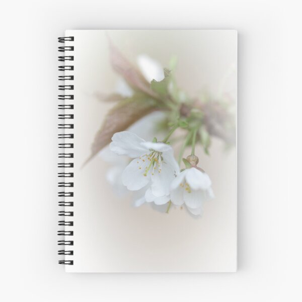 Item preview, Blackthorn designed and sold by heidipics.