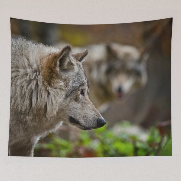 Item preview, Grey Wolves designed and sold by Michael Cummings.