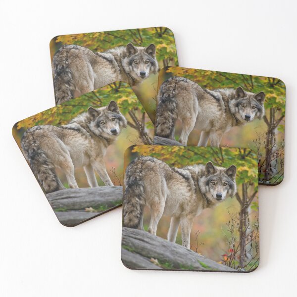 Item preview, Timber Wolf designed and sold by Michael Cummings.