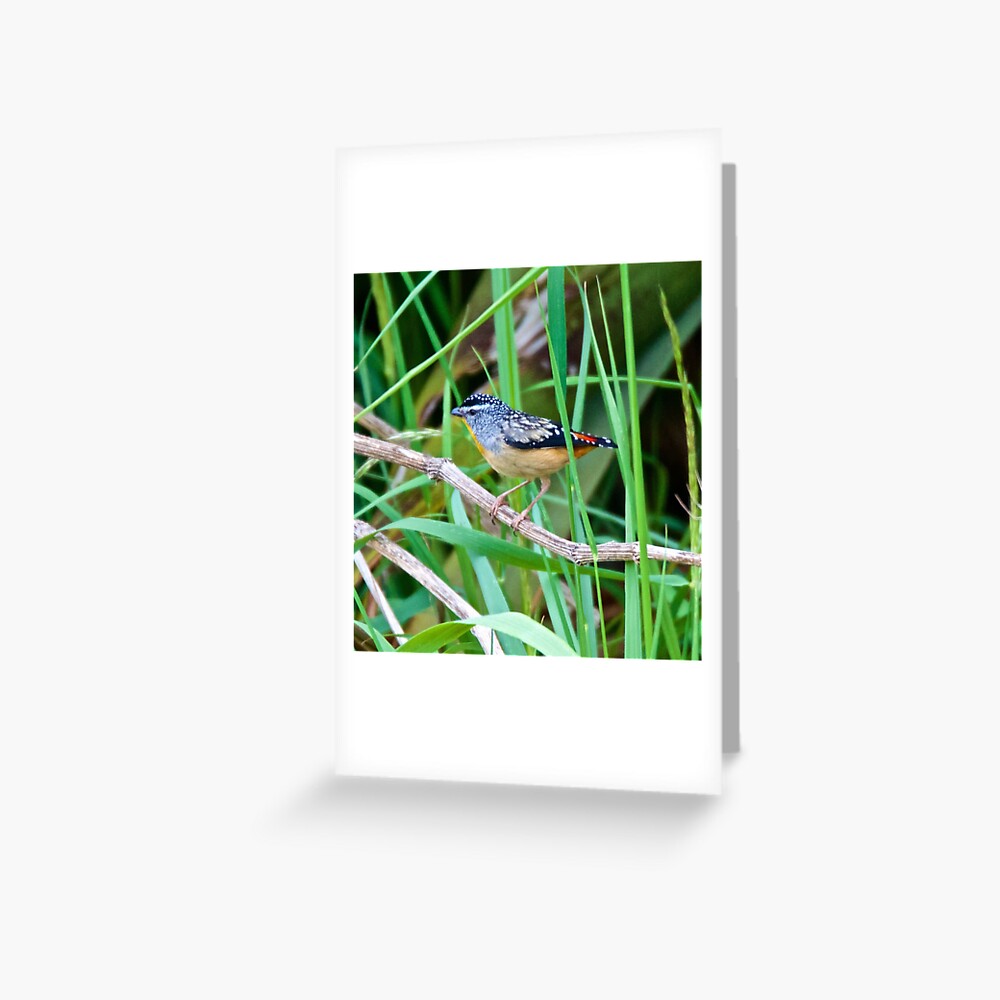 Item preview, Greeting Card designed and sold by tasmanianartist.