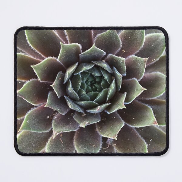 Item preview, Sempervivum from A Gardener's Notebook designed and sold by Douglas E. Welch Design and Photography.