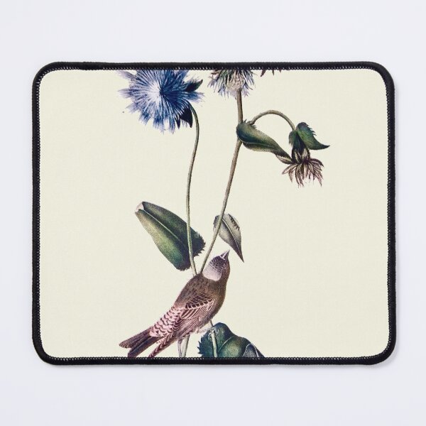 Item preview, Rosy Finch - Audubon designed and sold by sanerevolution.