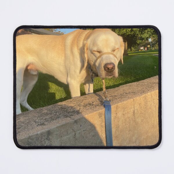 Item preview, Sun kissed puppy designed and sold by kholdaway21.