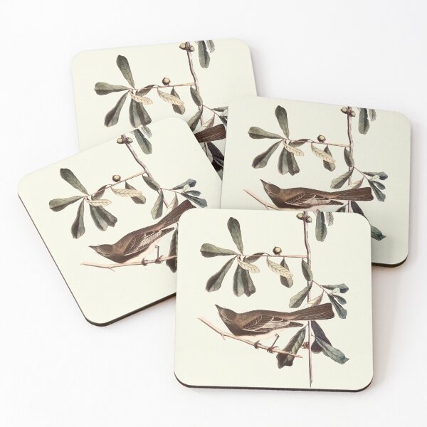 Item preview, Black Phoebe - Audubon designed and sold by sanerevolution.