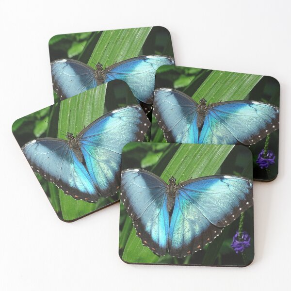 Item preview, Butterfly designed and sold by Hamada Jalal.