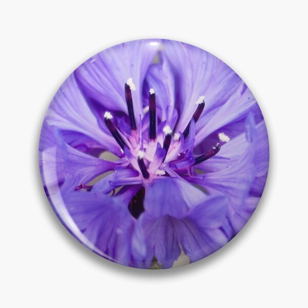 Item preview, Beautiful Wild Violet Cornflower designed and sold by KsbAesthetics.