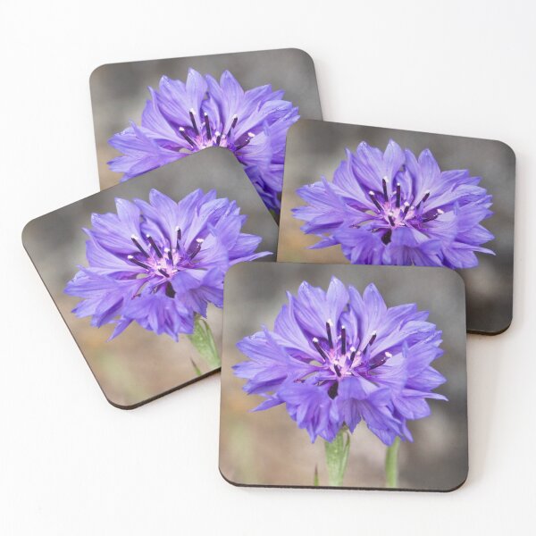 Item preview, Beautiful Wild Violet Cornflower designed and sold by KsbAesthetics.