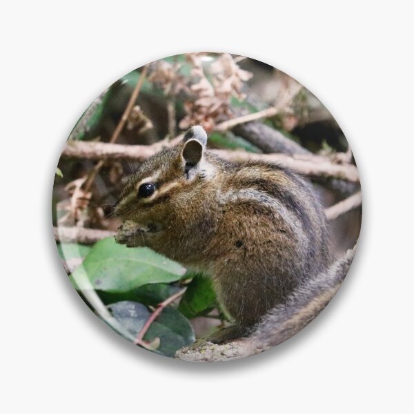 Item preview, Cute Little Chipmunk on a Log designed and sold by KsbAesthetics.