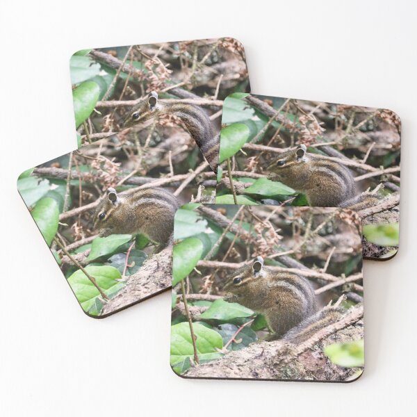 Item preview, Cute Little Chipmunk on a Log designed and sold by KsbAesthetics.