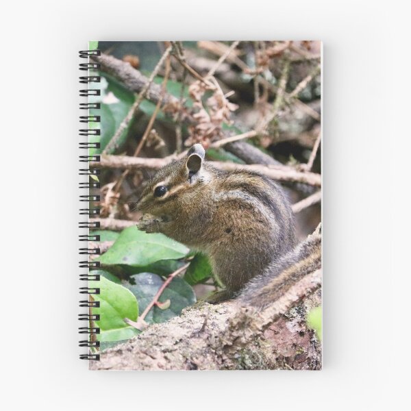 Item preview, Cute Little Chipmunk on a Log designed and sold by KsbAesthetics.