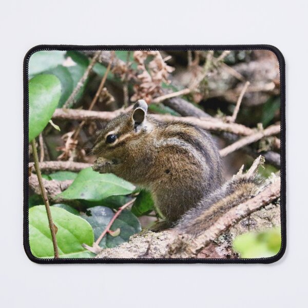 Item preview, Cute Little Chipmunk on a Log designed and sold by KsbAesthetics.