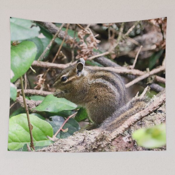 Item preview, Cute Little Chipmunk on a Log designed and sold by KsbAesthetics.