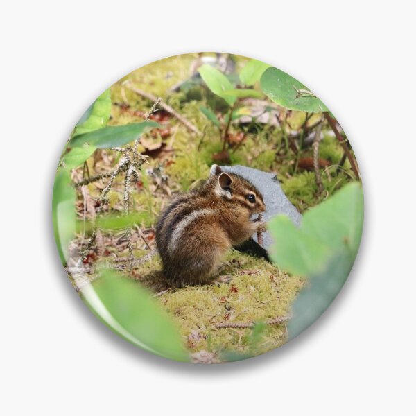Item preview, Cute Little Chipmunk Taking a Snack Break designed and sold by KsbAesthetics.