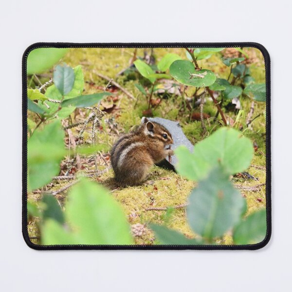 Item preview, Cute Little Chipmunk Taking a Snack Break designed and sold by KsbAesthetics.