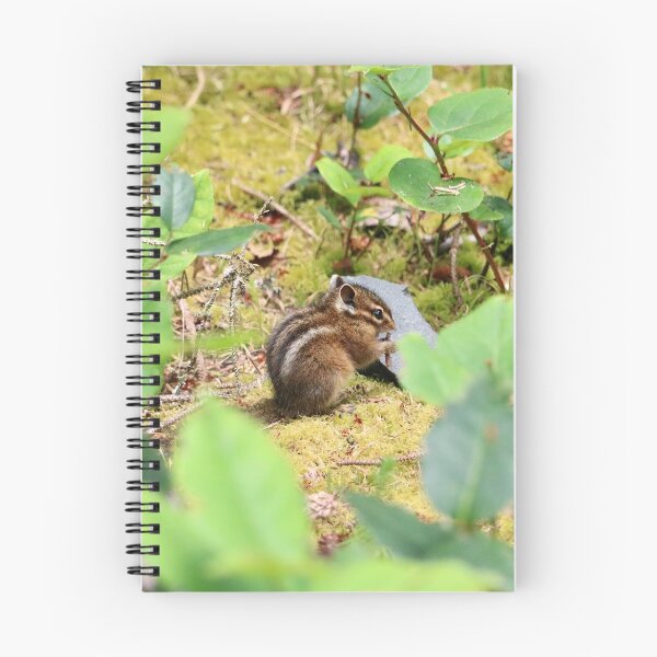 Item preview, Cute Little Chipmunk Taking a Snack Break designed and sold by KsbAesthetics.