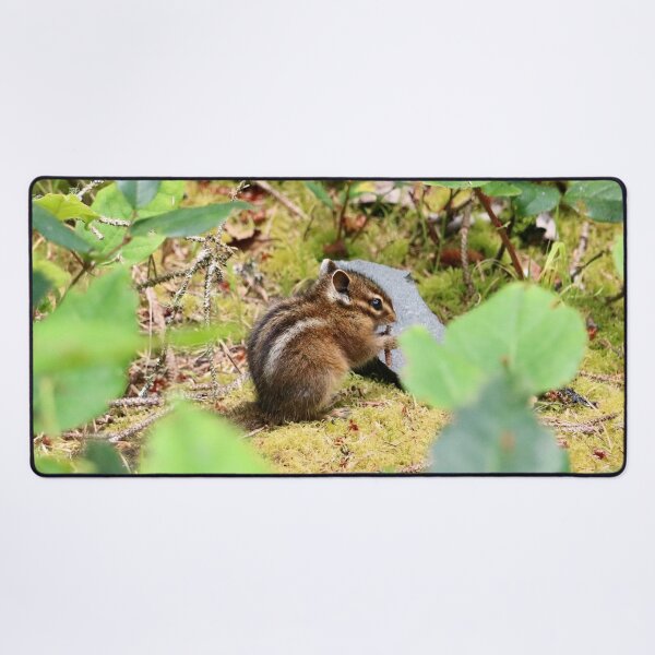 Item preview, Cute Little Chipmunk Taking a Snack Break designed and sold by KsbAesthetics.
