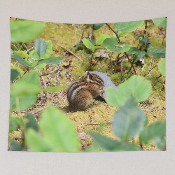 Item preview, Cute Little Chipmunk Taking a Snack Break designed and sold by KsbAesthetics.