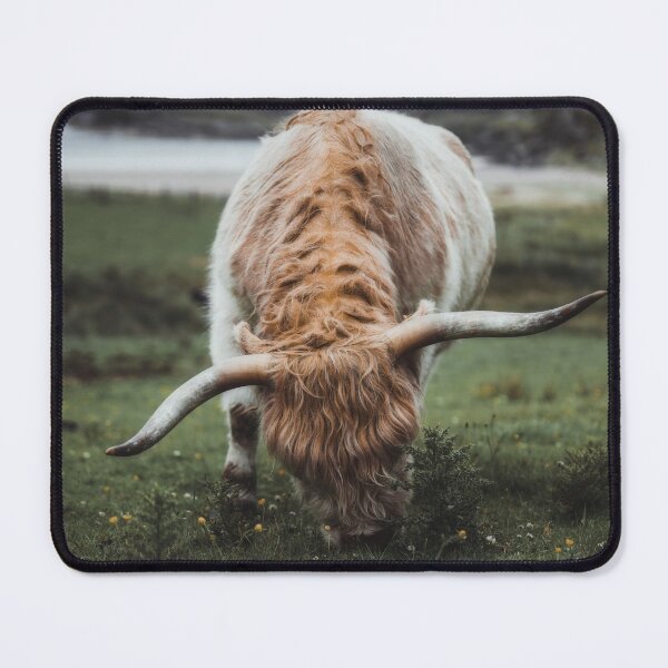 Item preview, Highland Cow - Scottish highland calf designed and sold by anass002.