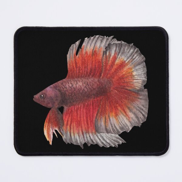Item preview, Betta Fighting Fish - For All Betta Splendens Lovers designed and sold by AquariumExp.