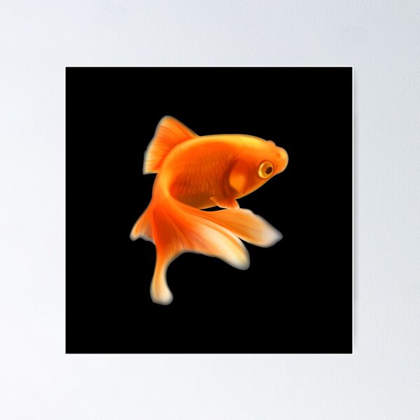 Aperçu de l'œuvre Goldfish - Pour tous les amateurs de poissons d'or créée et vendue par AquariumExp.