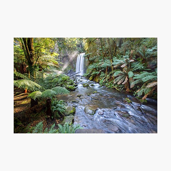 Item preview, Beautiful waterfall in Rainforest, Australia designed and sold by Jaydee001.