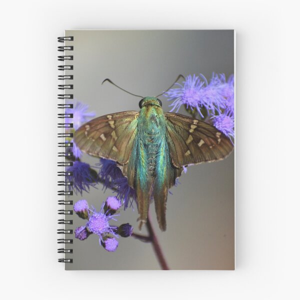 Item preview, Long tailed skipper on blue mistflower designed and sold by JanineEK.