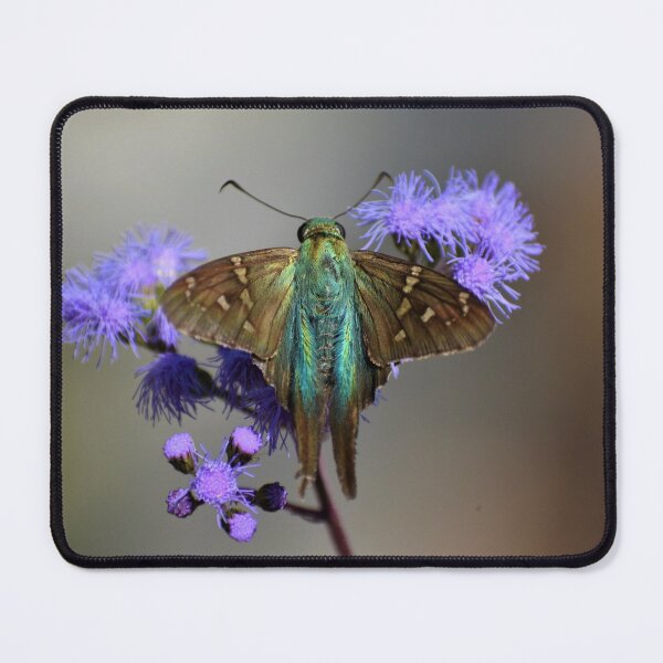 Item preview, Long tailed skipper on blue mistflower designed and sold by JanineEK.
