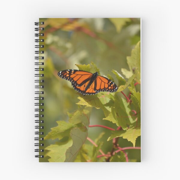 Aperçu de l'œuvre Papillon monarque gambadant dans les arbres créée et vendue par NorthernSnappy.