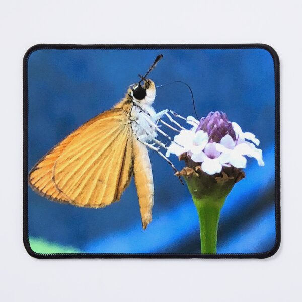 Item preview, Least skipper butterfly on frog fruit blossom designed and sold by JanineEK.