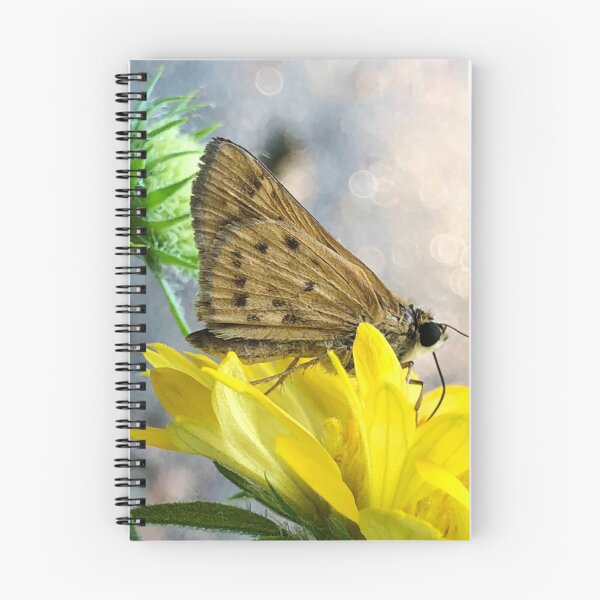 Item preview, fiery skipper butterfly on gaillardia designed and sold by JanineEK.