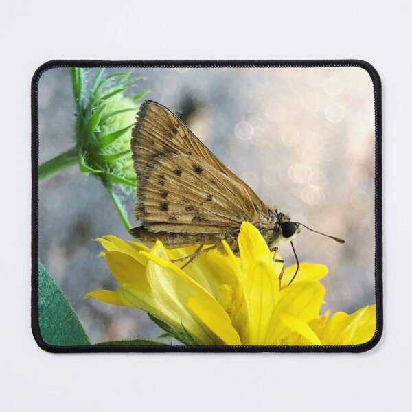 Item preview, fiery skipper butterfly on gaillardia designed and sold by JanineEK.