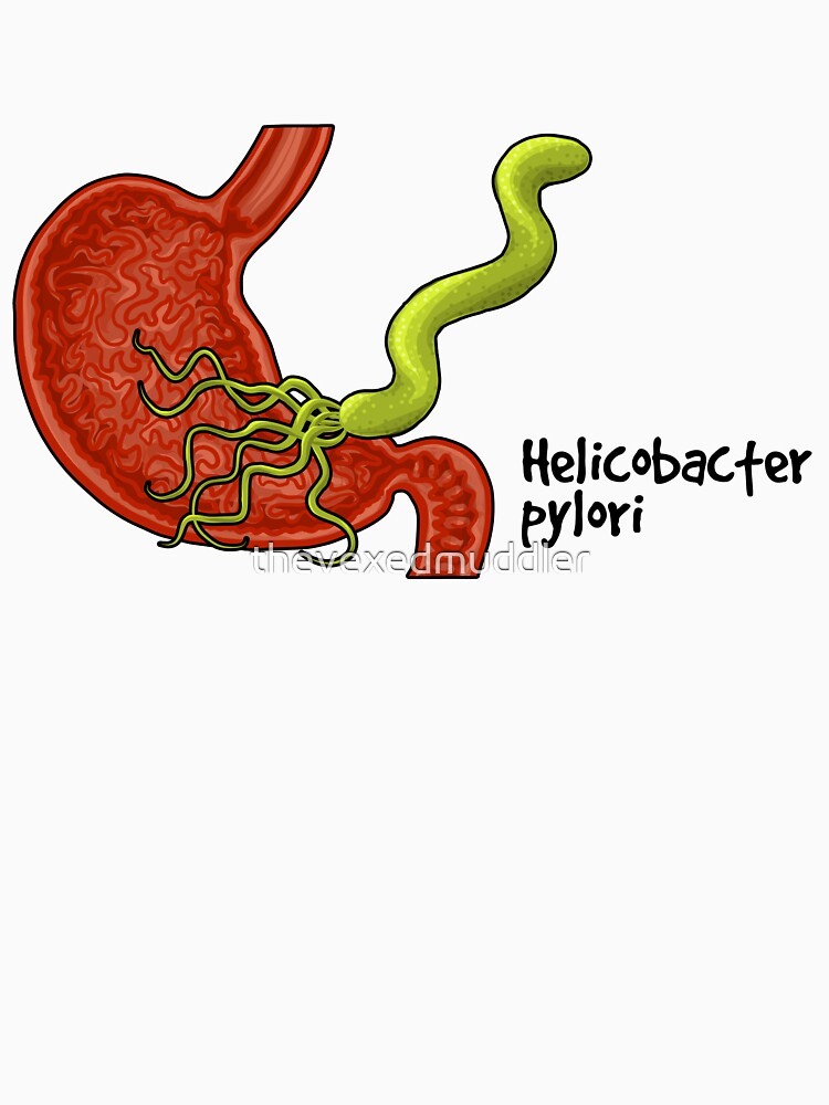 Helicobacter pylori by thevexedmuddler