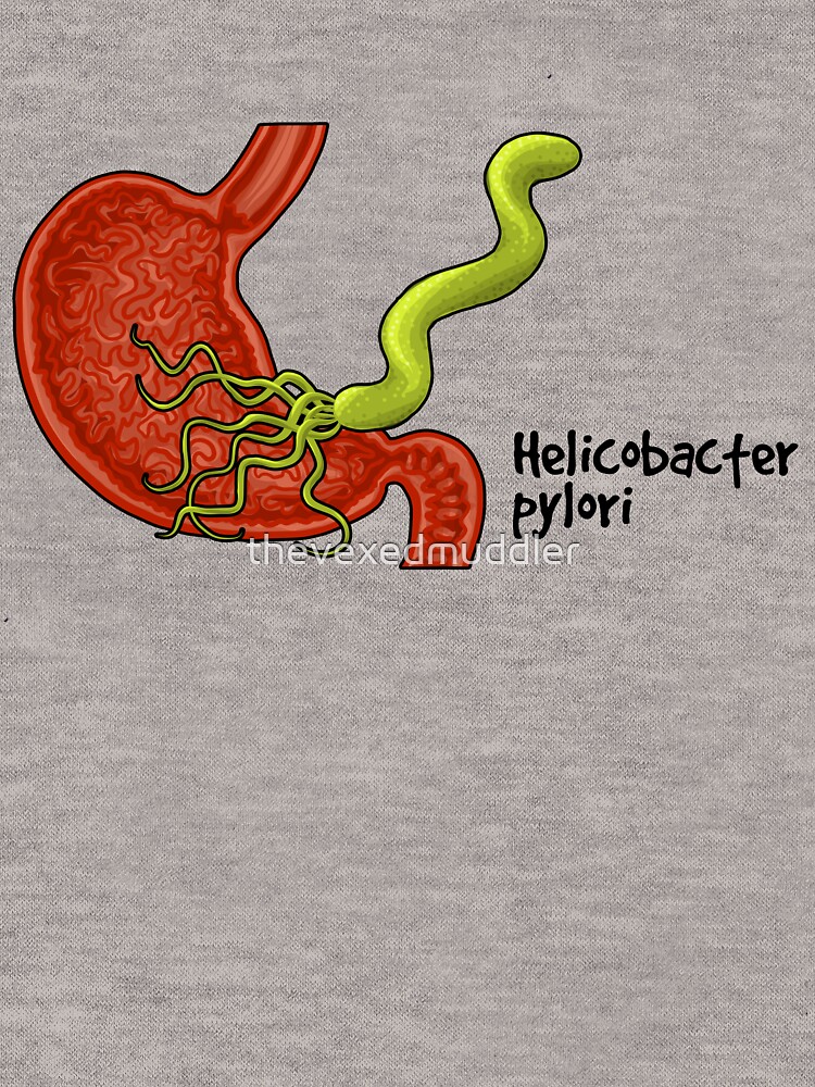 Helicobacter pylori by thevexedmuddler
